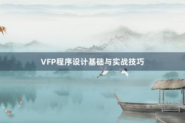 VFP程序设计基础与实战技巧